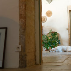 HOSTELLERIE EXPORT WEB-004